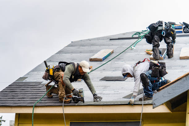 Professional Roofing technician working in Evanston, IL